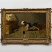 CONTOIT Louis 1883-1904,Portrait of a Yorkshire Terrier Ratting,Stair Galleries US 2021-02-11