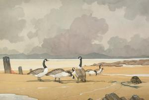 CONWAY Bryan M,Canada Geese, Anglesey,20th Century,John Nicholson GB 2024-01-24