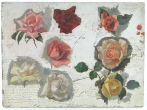 CONWAY Edward,Study of roses,Burstow and Hewett GB 2013-08-28