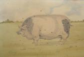 CONWAY Jo 1968,A Prize Pig, Standing in a Landscape,Mealy's IE 2014-12-09
