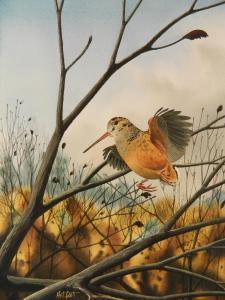 COOK Arthur M. 1931,Bird in Tree,Rachel Davis US 2018-10-20