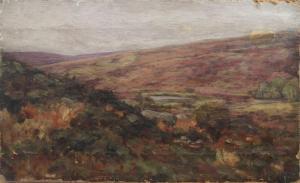 COOK George Edward 1880-1905,View of heathland,1877,Rosebery's GB 2017-07-22