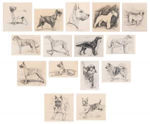 COOK Gladys Emerson 1899-1976,Dog Portraits,1945,William Doyle US 2024-04-16