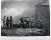 COOKE James E 1900-1900,Koń wyścigowy Muly Moloch,Rynek Sztuki PL 2010-09-19