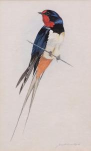 COOKE James E 1900-1900,Swallow,1988,Keys GB 2017-09-22