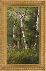 COOMBS Delbert Dana 1850-1938,Birch trees,1890,Eldred's US 2019-08-01
