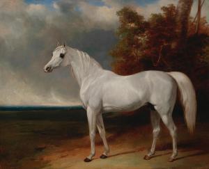 COOPER Abraham 1787-1868,Portrait of Adonis, the favourite charger of Georg,Bonhams GB 2024-03-13