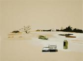 COOPER Alika 1979,GREENVANAND LIGHT SNOW,2006,ArteSegno IT 2011-10-01