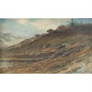 COOPER Astley David M 1856-1924,Hillside View Landscape,1914,MICHAANS'S AUCTIONS US 2023-07-14