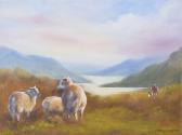 COOPER Cathy 1900-2000,SHEEP GRAZING,Ross's Auctioneers and values IE 2021-05-19