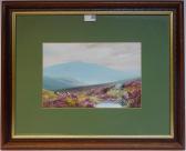 COOPER Douglas 1900-2000,Moorland Scene,David Duggleby Limited GB 2016-10-29