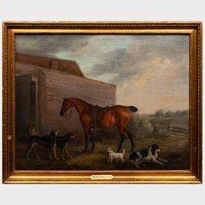 COOPER Edwin, Beccles 1785-1833,A Bay Horse,Stair Galleries US 2022-03-24