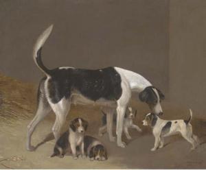 COOPER Edwin, Beccles 1785-1833,A foxhound and her litter,Christie's GB 2003-11-27