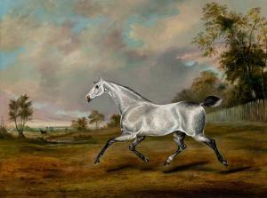 COOPER Edwin, Beccles 1785-1833,A Gray Hunter Trotting in a Park,1810,William Doyle US 2023-10-19