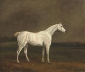 COOPER Edwin, Beccles 1785-1833,A white stallion in a landscape,Christie's GB 2008-12-03