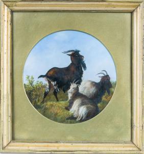 COOPER J.R 1880-1900,Drei Ziegenböcke auf der Weide,1880,Leo Spik DE 2017-03-30