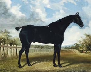 COOPER W.S 1800-1900,A black horse in an extensive landscape,Christie's GB 2012-07-31