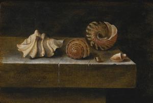 COORTE Adriaen 1685-1720,STILL LIFE WITH SEA SHELLS,Sotheby's GB 2016-01-29