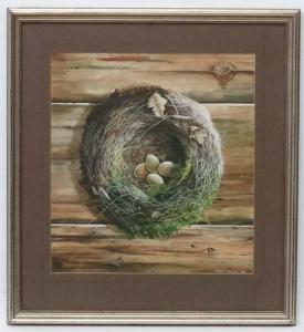 COPPILLIE ROBERT 1951,S nest and eggs, Signed and dated,1980,Dickins GB 2017-02-03