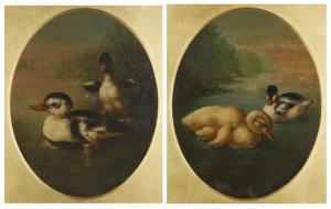 COPPINI Carlo 1800-1800,Two Scenes of ducklings in water,19th century,Rosebery's GB 2023-07-19