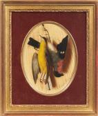 COPPINI Carlo 1800-1800,Un oiseaux,Pierre Bergé & Associés FR 2014-12-17