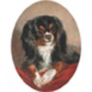 CORBAUX Louisa,ACavalier King Charles spaniel on a red cushion,1868,William Doyle 2002-02-12