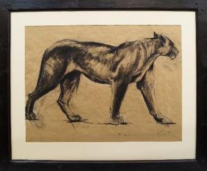 CORCORAN Rose 1972,Lioness Study I,Rosebery's GB 2013-03-19