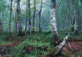 CORNELLA 1900-1900,Deep in the Forest,Mallams GB 2012-02-16
