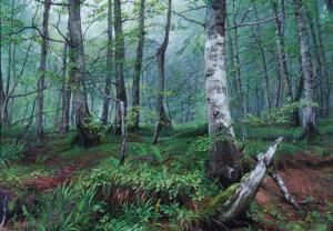 CORNELLA 1900-1900,Deep in the Forest,Mallams GB 2012-02-16