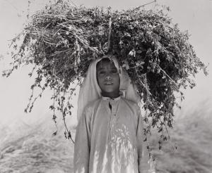 CORSINI Harold 1919,Young Arab Carrying Alfalfa on his Head, Nedj, Sau,1940,Heritage US 2008-12-12