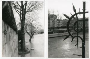 COTELLON Garnier 1956,Crue de la Seine, Paris 5e,2018,Artprecium FR 2020-02-04