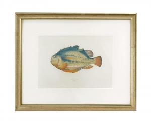 COUCH Jonathan 1789-1870,HISTORY OF THE FISHES OF THE BRITISH ISLES,Christie's GB 2012-11-28