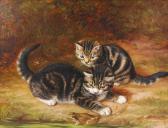 COULDERY Horatio Henry 1832-1918,Tabby kittens taunting a toad,Lacy Scott & Knight GB 2022-12-10