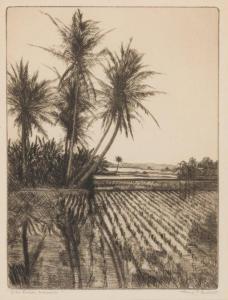 COULTER Mary Jenks 1880-1966,Rice Fields Hawaii,John Moran Auctioneers US 2020-01-26