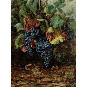 COULTER William Alexander 1849-1936,California Grapes,1922,MICHAANS'S AUCTIONS US 2022-12-17