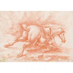 COURTOIS LE BOURGUIGNON Jacques 1621-1676,""Estudio de caballo",Subastas Segre ES 2011-10-25