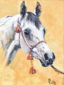 COWARD Malcolm 1948,Head study of a grey horse wearing a decorative bridle,Tennant's GB 2023-02-24