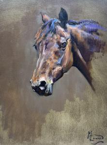 COWARD Malcolm 1948,Horse's Head Study,David Duggleby Limited GB 2023-06-16