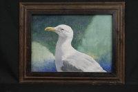 COWDRY DAVID,Herring Gull,Peter Francis GB 2014-03-25