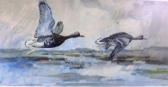 COX Jack 1914-2007,Geese in Flight Over Marshes,Keys GB 2012-04-13