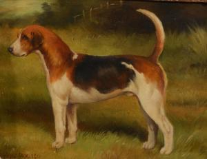 COX Thomas 1800-1800,A Foxhound in a landscape,1911,Mallams GB 2017-07-05