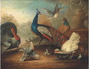 CRADOCK Marmaduke 1660-1717,A peacock, doves and pheasant by a lake,Christie's GB 2004-11-11