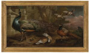 CRADOCK Marmaduke 1660-1717,A peacock, pigeons, a pheasant and partridges befo,Christie's 2023-02-09