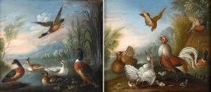 CRADOCK Marmaduke 1660-1717,POULTRY AND DUCKS,Lawrences GB 2023-01-18