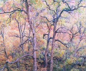 CRAMER Richard Charles 1932,TREE DETAIL,1994,Potomack US 2022-03-23
