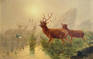 CRAMPTON William J 1855-1935,Buck and Several Does in a Boggy Landscape,Burchard US 2021-06-13