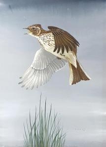 CRANK JOHN 1923-2008,bird of prey,Charterhouse GB 2023-07-06
