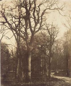 CRAVEN William, 2nd Earl 1809-1866,Sentier dans les arbres,1855,Christie's GB 2002-11-16