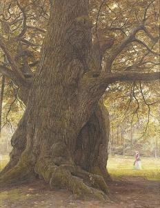 CRAWHALL George Edward 1834-1909,the major oak, sherwood forest,Sotheby's GB 2004-11-09