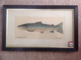 CRAWHALL Joseph I 1793-1853,Coquet trout,Jim Railton GB 2016-08-13